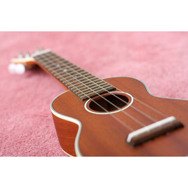 Укулеле STAGG US80-S